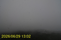 Img20260629_130258.jpg