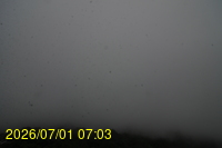 Img20260701_070307.jpg