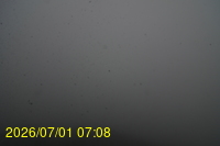 Img20260701_070807.jpg