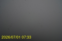 Img20260701_073307.jpg