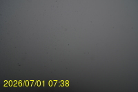 Img20260701_073807.jpg