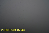 Img20260701_074307.jpg