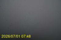 Img20260701_074807.jpg