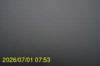 Img20260701_075307.jpg