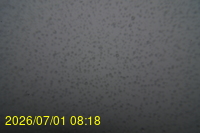 Img20260701_081808.jpg
