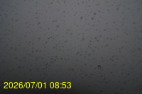 Img20260701_085308.jpg