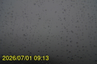 Img20260701_091308.jpg