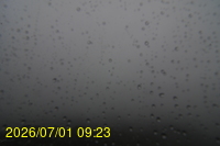 Img20260701_092308.jpg