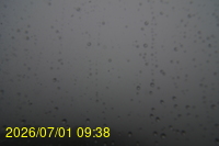 Img20260701_093808.jpg