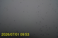 Img20260701_095308.jpg