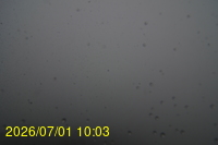 Img20260701_100308.jpg