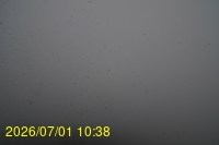 Img20260701_103808.jpg