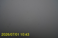 Img20260701_104308.jpg