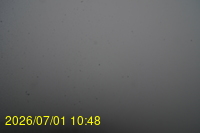 Img20260701_104808.jpg