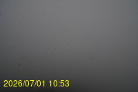Img20260701_105308.jpg