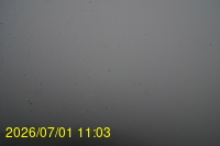 Img20260701_110308.jpg