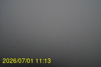 Img20260701_111308.jpg