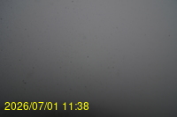 Img20260701_113808.jpg