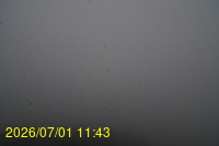Img20260701_114308.jpg