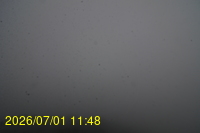Img20260701_114808.jpg