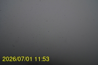 Img20260701_115308.jpg