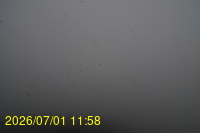 Img20260701_115808.jpg