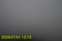 Img20260701_121308.jpg
