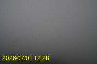 Img20260701_122808.jpg
