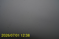 Img20260701_123809.jpg