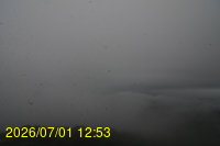 Img20260701_125309.jpg