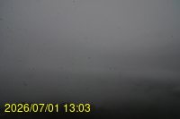 Img20260701_130309.jpg
