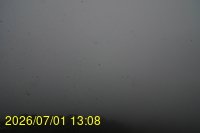 Img20260701_130809.jpg