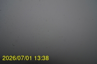 Img20260701_133809.jpg