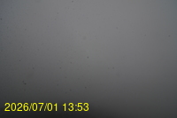 Img20260701_135309.jpg