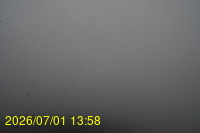 Img20260701_135809.jpg