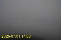 Img20260701_140309.jpg