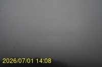 Img20260701_140809.jpg