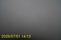 Img20260701_141309.jpg