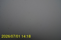 Img20260701_141809.jpg
