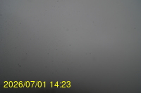 Img20260701_142309.jpg