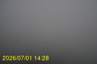 Img20260701_142809.jpg