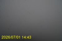 Img20260701_144309.jpg