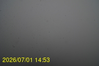 Img20260701_145309.jpg