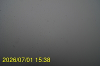 Img20260701_153809.jpg
