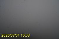 Img20260701_155309.jpg