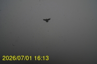Img20260701_161309.jpg