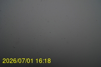 Img20260701_161809.jpg