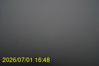 Img20260701_164809.jpg