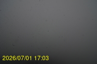 Img20260701_170309.jpg