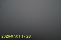 Img20260701_172810.jpg